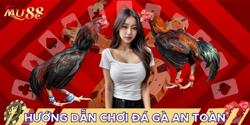 Hướng dẫn chơi đá gà an toàn