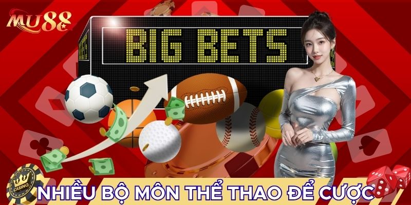 Nhiều bộ môn thể thao để cược
